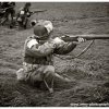 mg 344